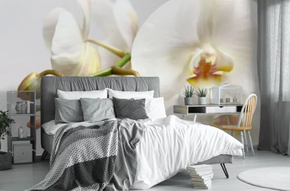 Fototapeta orchidea: jeden z najpiękniejszych kwiatów na twojej ścianie orchidea (3)