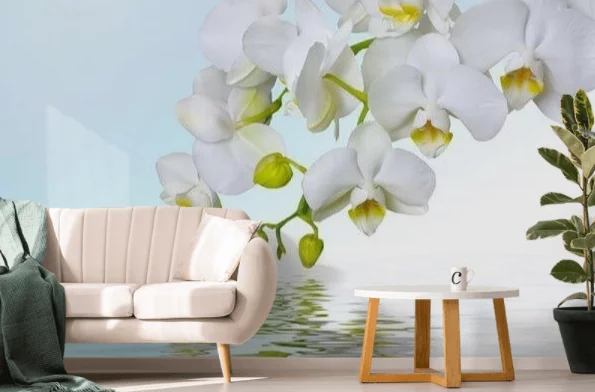 Fototapeta orchidea: jeden z najpiękniejszych kwiatów na twojej ścianie orchidea (4)