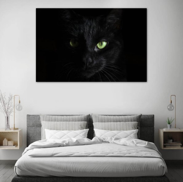 Nie mogliśmy pominąć koty w tym zestawieniu. Wbrew przesądom, obraz z olśniewającym czarnym kotem będzie przynosił swoim właścicielom wyłącznie pozytywne emocje.