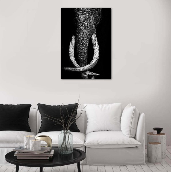 Zdjęcie słonia o wspaniałych ciosach (tak nazywają się jego kły) ozdobi wnętrze zarówno w stylu afrykańskim, jak i minimalistycznie nowoczesnym.